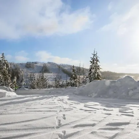 Alppikylae 3b Paritalo By Interhome *